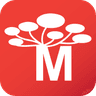 M'Project logo